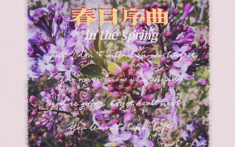 芭蕉不展丁香结同向春风各自愁的意思-第1张图片-波音达百科