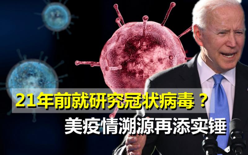 新冠是从哪一年开始的-第1张图片-波音达手游百科