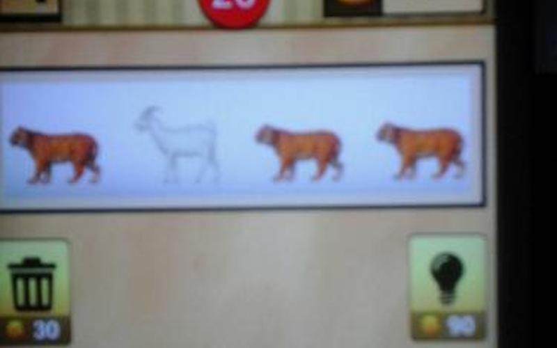 三只老虎一只羊猜成语-第1张图片-波音达百科