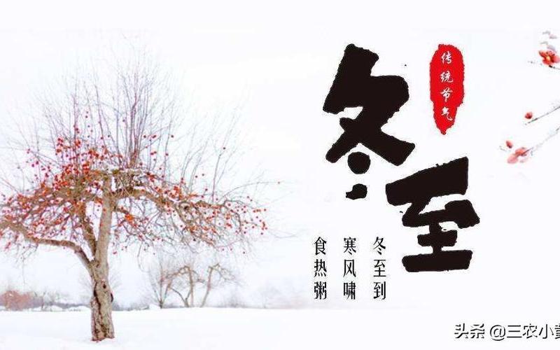 冬九九是什么意思-第1张图片-波音达百科