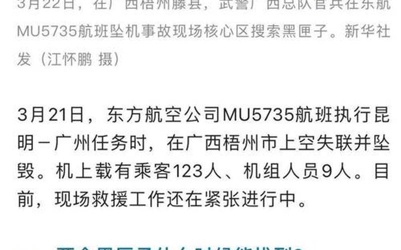 东航坠毁飞机最新消息-第1张图片-波音达手游百科