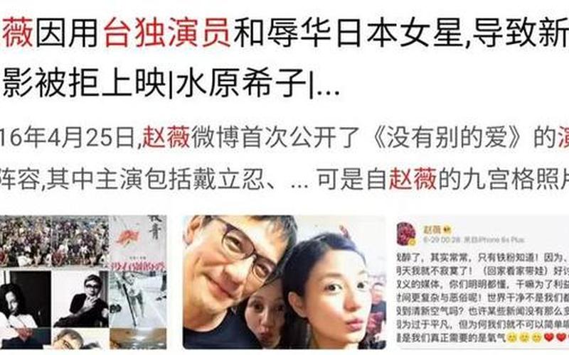赵薇为什么被全网封-第1张图片-波音达百科