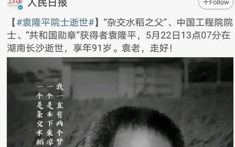 袁隆平的简短简介-第1张图片-波音达百科