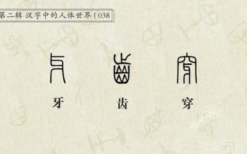序齿排班是什么意思-第1张图片-波音达百科