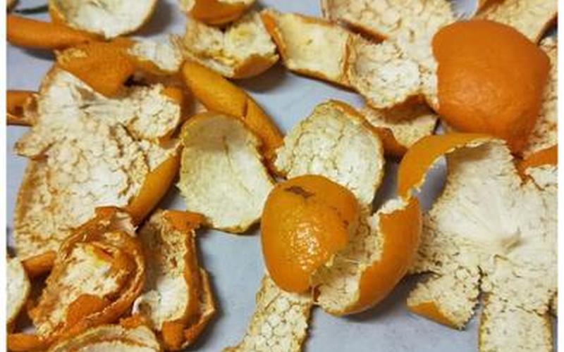 橘子皮能有效去除空气中的甲醛吗-第1张图片-波音达百科