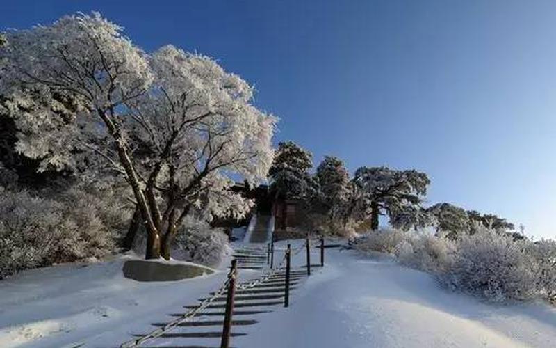 寒假适合去哪旅游-第1张图片-波音达百科