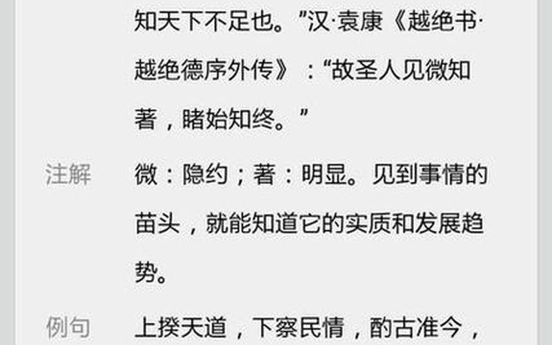 见微知著中著的意思-第1张图片-波音达百科