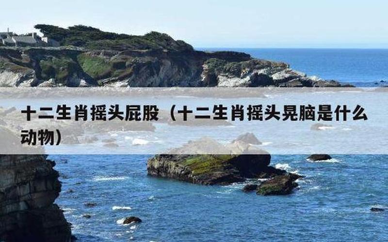 摇头摆尾打一更佳生肖-第1张图片-波音达百科