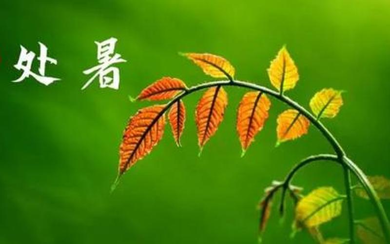 处暑是几月几号2021年-第1张图片-波音达手游百科