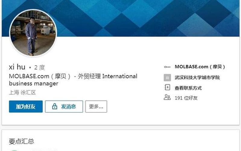 linkedin是什么意思-第1张图片-波音达百科