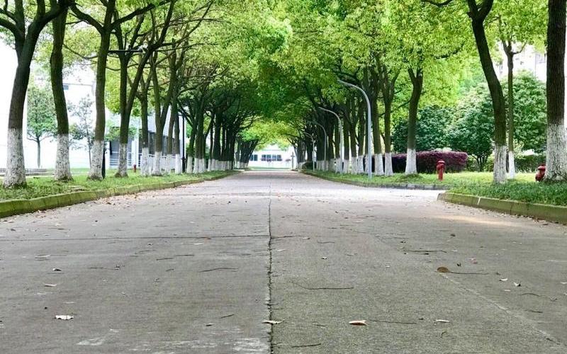 苏州大学文正教务-第1张图片-波音达手游百科