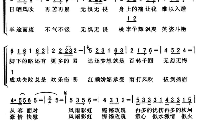 铿锵玫瑰田震歌词-第1张图片-波音达百科