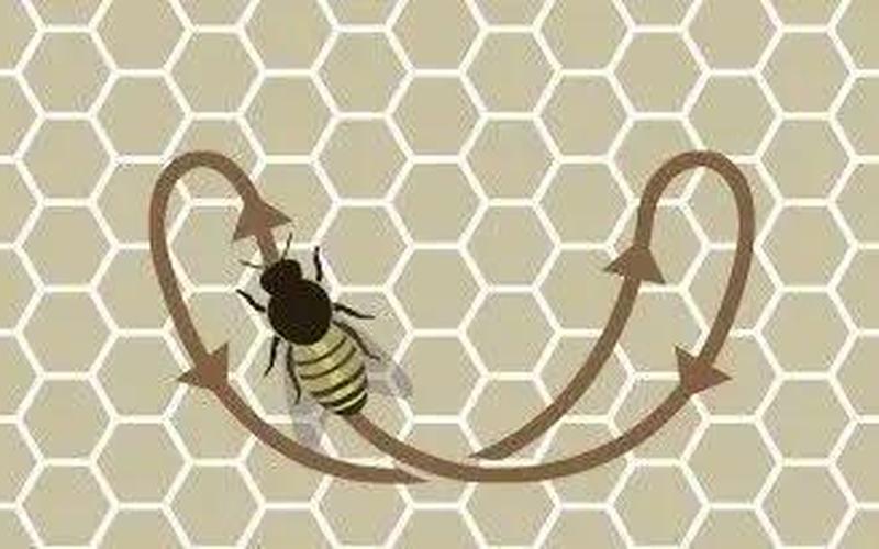 小蜜蜂分别指哪一类人-第1张图片-波音达百科