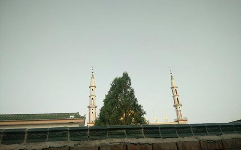 宁夏吴忠市红寺堡区-第1张图片-波音达百科