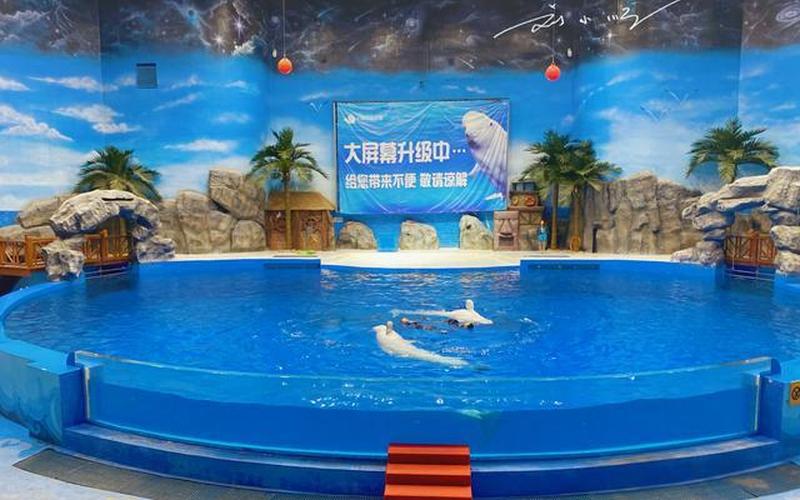 荆州海洋世界好玩吗-第1张图片-波音达手游百科