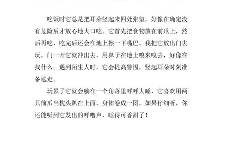 老师你的兔子好软水好多车作文-第1张图片-波音达百科