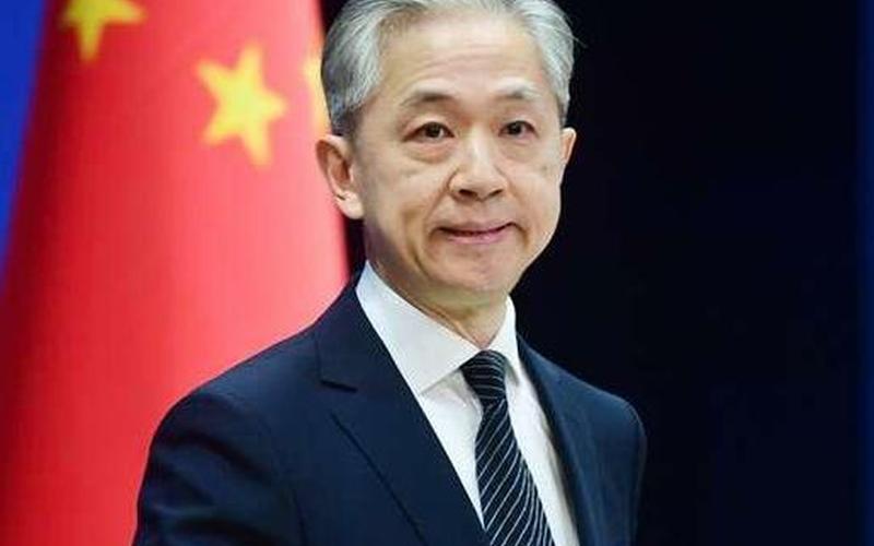 汪文斌个人资料简介-第1张图片-波音达百科