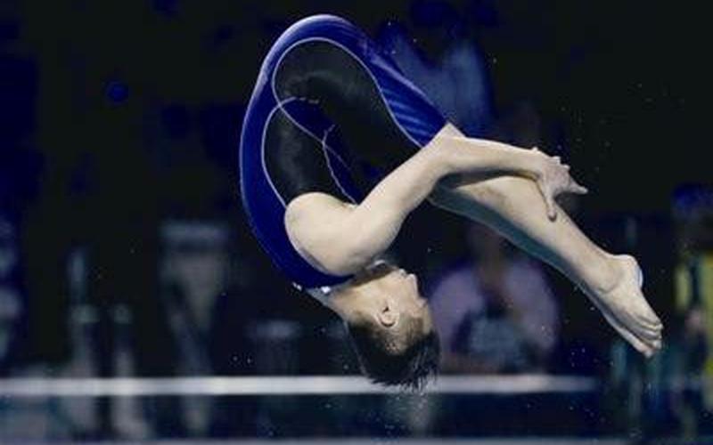 2009跳水裂脸男完整视频-第1张图片-波音达百科