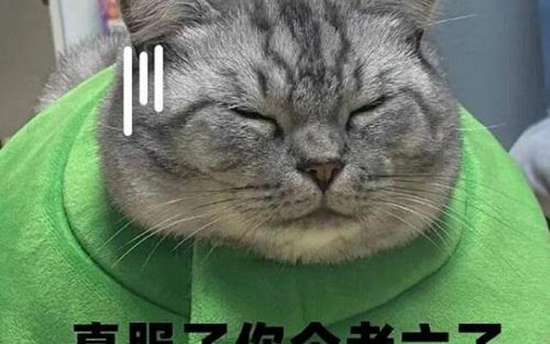 你这个老六是什么意思 *** 用语-第1张图片-波音达百科