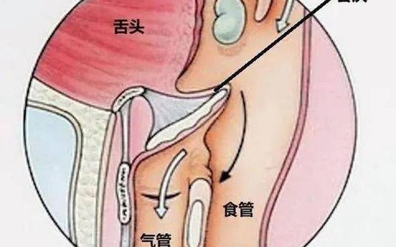 新冠喉咙痛与一般喉咙痛区别-第1张图片-波音达百科