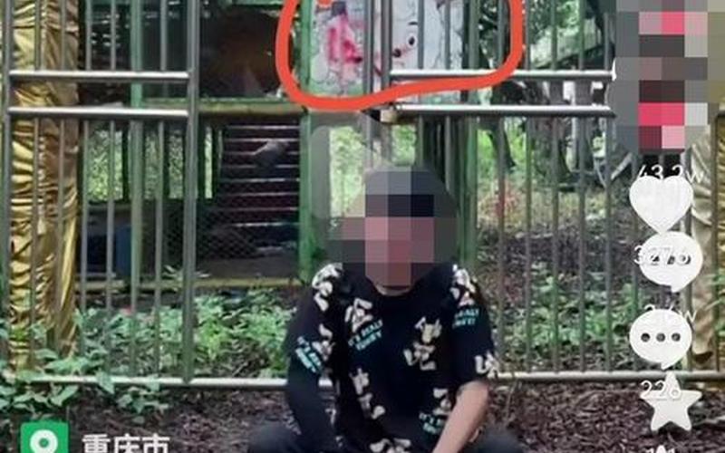 重庆废弃红太阳幼儿园事件-第1张图片-波音达百科