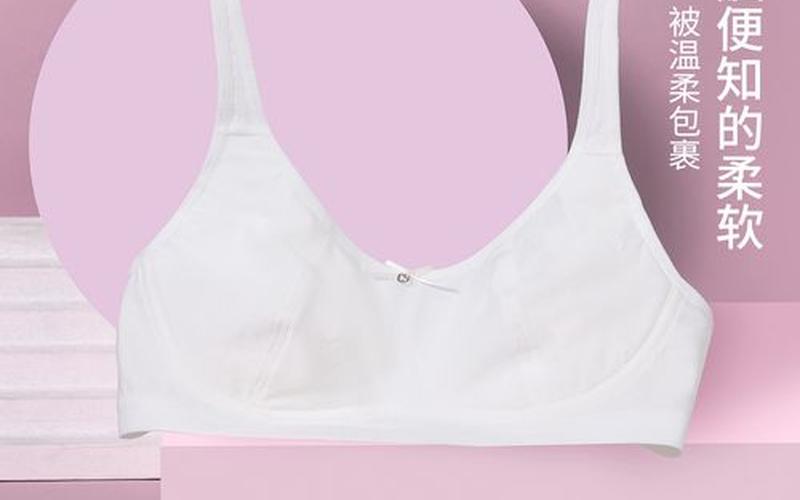 校服太薄看得见内衣怎么办-第1张图片-波音达百科