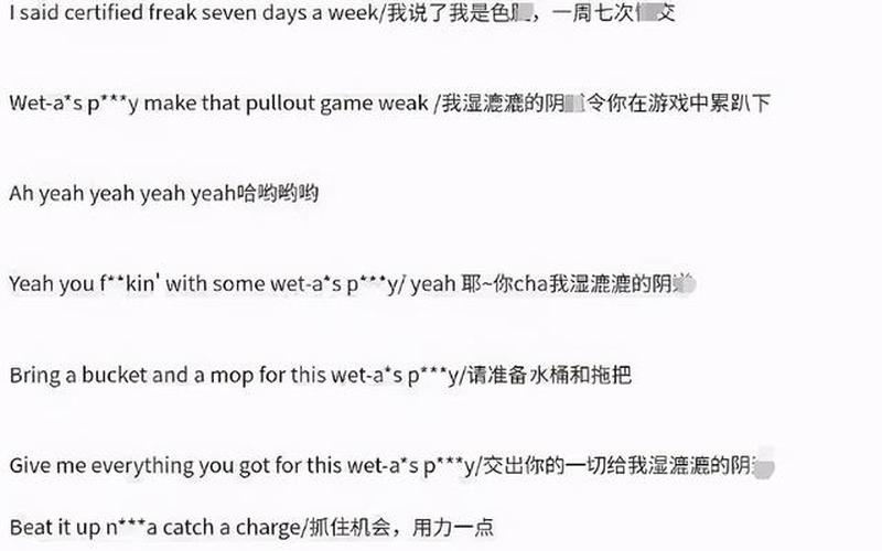 wap歌词中文是什么意思-第1张图片-波音达百科