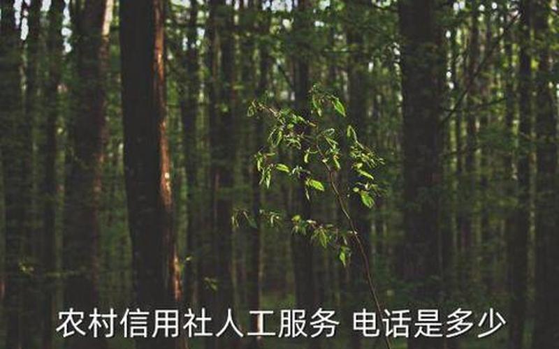农村信用社95566人工服务-第1张图片-波音达百科