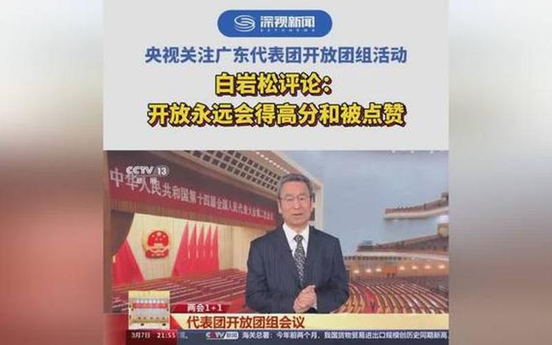 白岩松事件是指什么-第1张图片-波音达百科