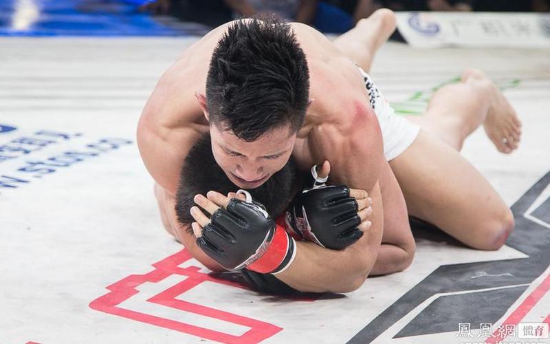 杨建平台上打日本人-第1张图片-波音达百科