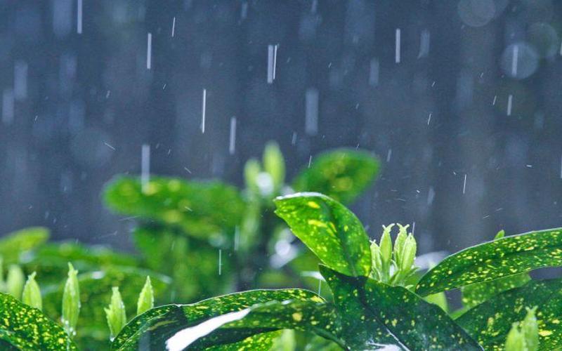 早晨下雨当日晴晚上下雨到天明-第1张图片-波音达百科