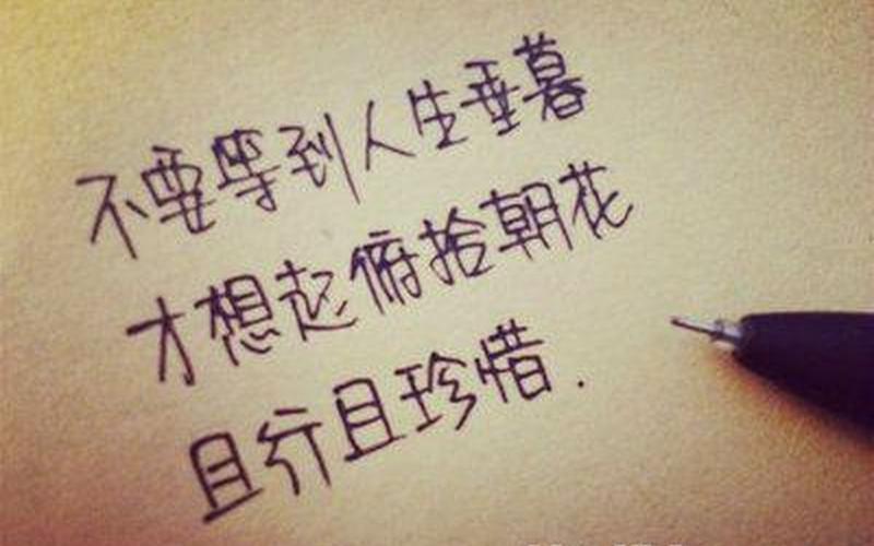 且行且珍惜前一句-第1张图片-波音达手游百科