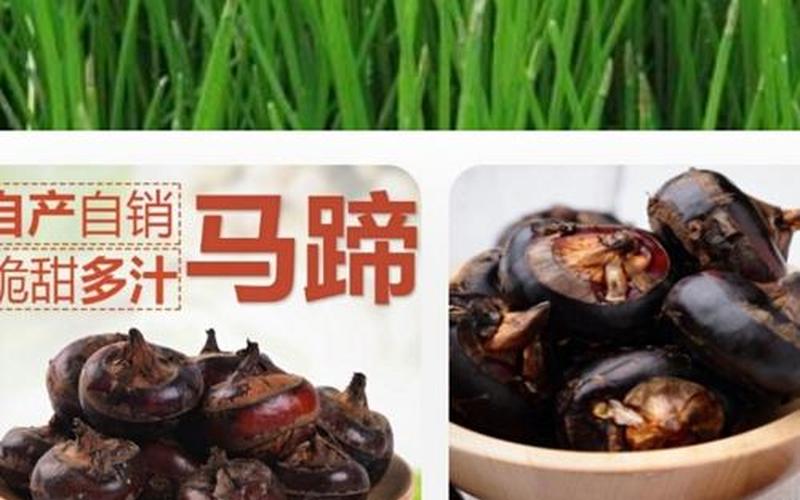 马蹄果和荸荠区别-第1张图片-波音达百科