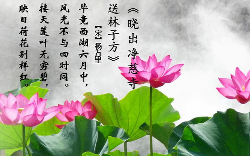 风光不与四时同的上一句-第1张图片-波音达百科