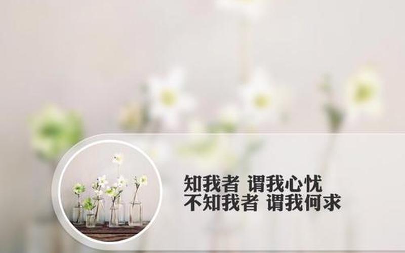 不知我者谓我何求-第1张图片-波音达百科