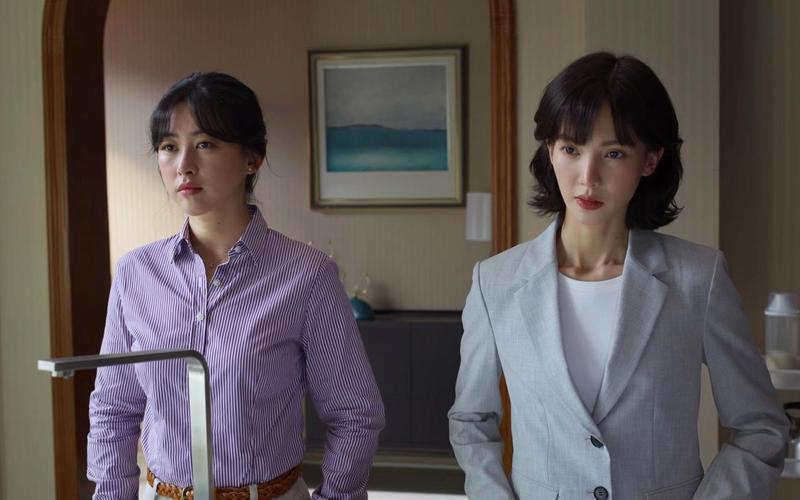 爱情向左婚姻向右电视剧-第1张图片-波音达百科