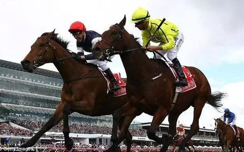 墨尔本赛马节上的狂欢-第1张图片-波音达百科