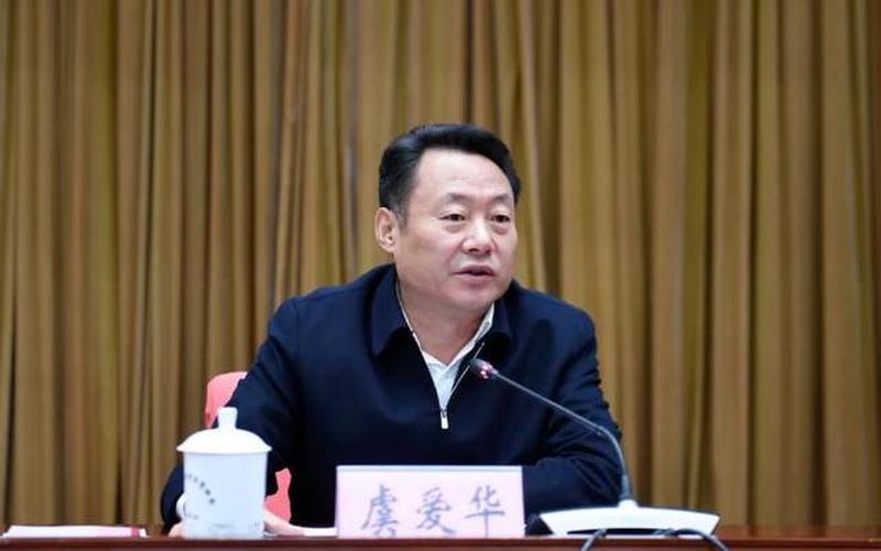 安庆市委书记虞爱华-第1张图片-波音达百科