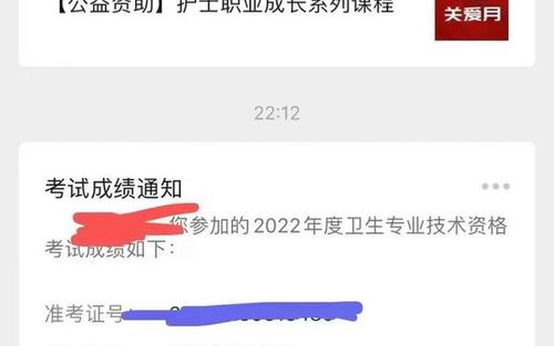 中国卫生人才网成绩时间-第1张图片-波音达百科