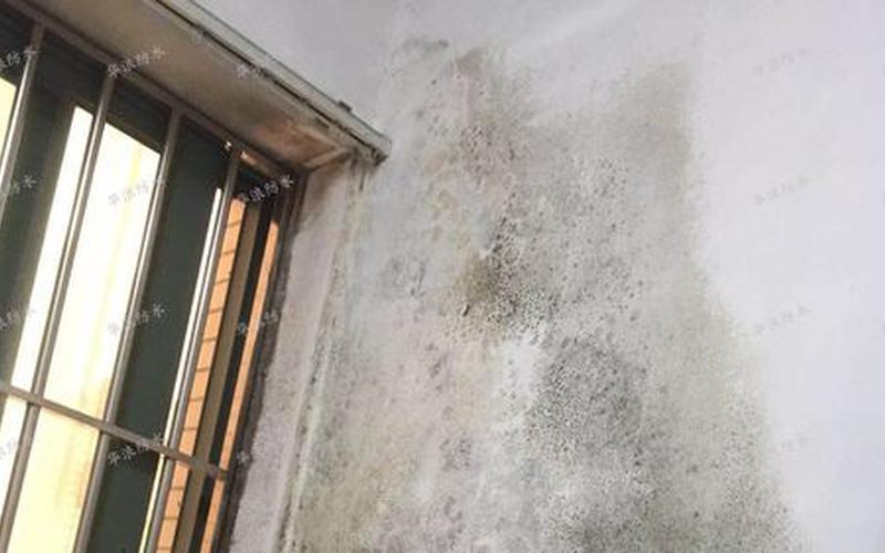 外墙渗水内墙做防水有用吗-第1张图片-波音达百科