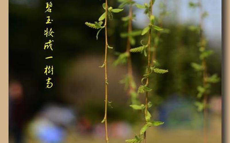 二月春风似剪刀的似是什么意思-第1张图片-波音达百科