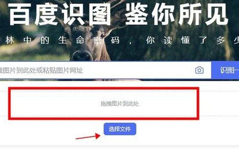 今天拍照识图了吗-第1张图片-波音达百科
