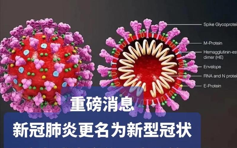 怎样才知道自己感染了新型肺炎-第1张图片-波音达百科
