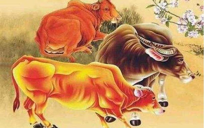 佛口蛇心指什么生肖-第1张图片-波音达百科