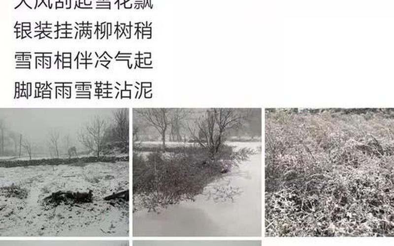 正月打雷下雪有什么说法-第1张图片-波音达百科