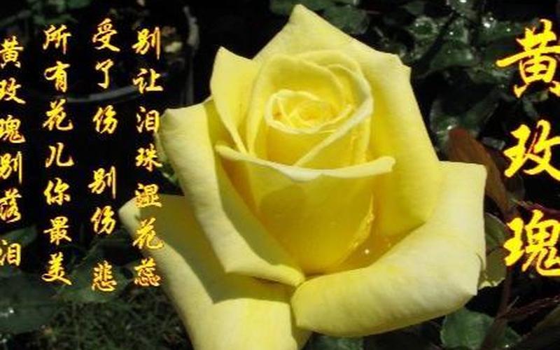 你的眼怎会看见我心碎是什么歌-第1张图片-波音达百科
