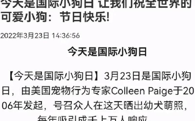 国际小狗节是几月几日-第1张图片-波音达百科