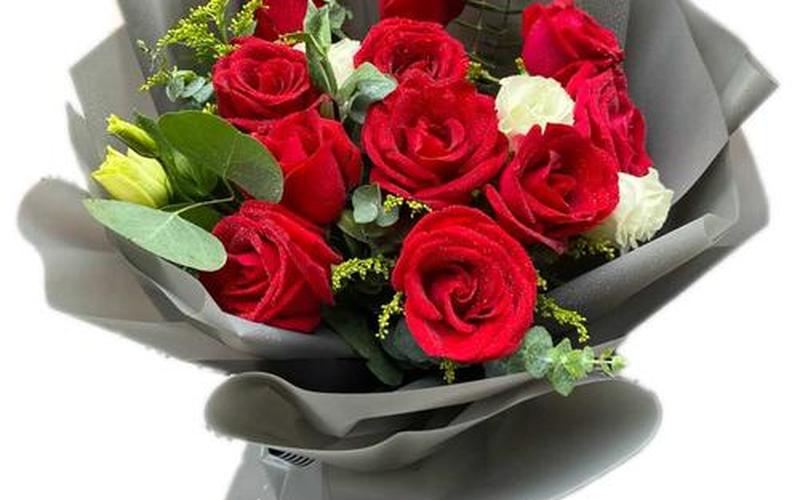 玫瑰情人网怎么样-第1张图片-波音达百科