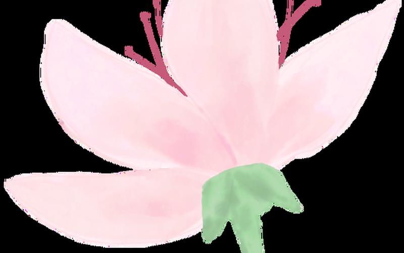 神幻之恋1.5a攻略-第1张图片-波音达百科