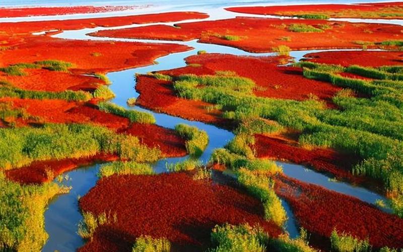 盘锦红海滩旅游攻略-第1张图片-波音达百科